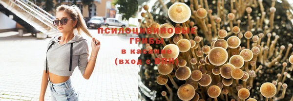экстази Алзамай