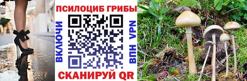 Галлюциногенные грибы мухоморы  цены наркотик  Бабаево 