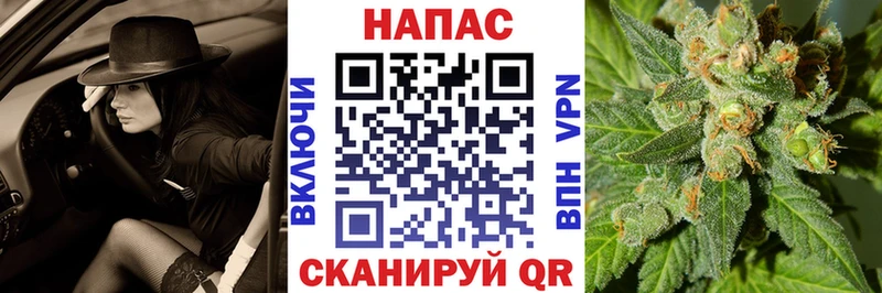Шишки марихуана план  Бабаево 